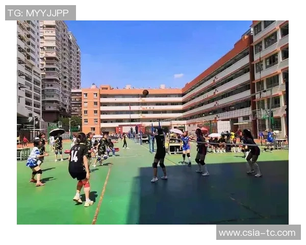 广州排球队的精神风貌与团队意识深度剖析